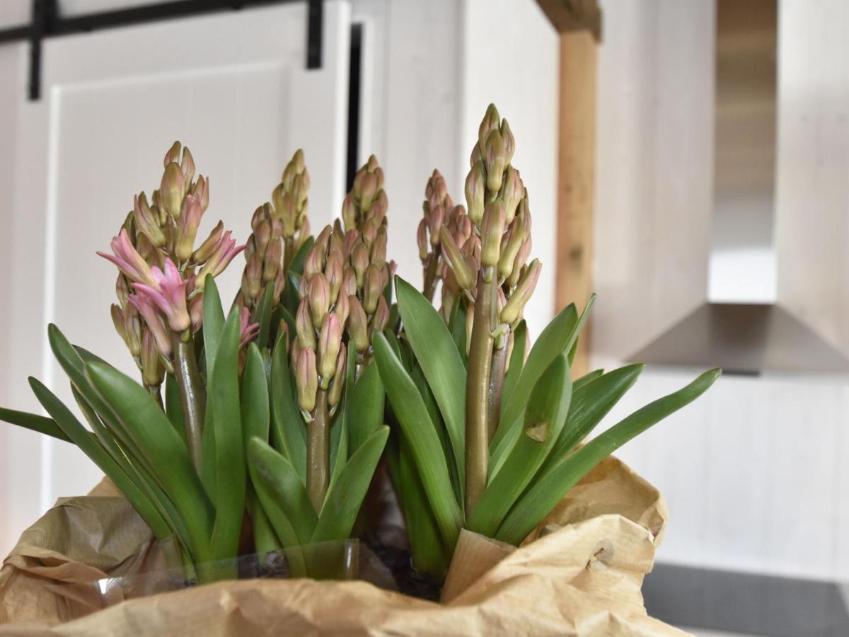 Studio Hazenborgh In Callantsoog Near The Beach Екстериор снимка